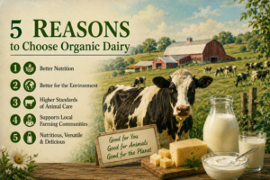 Read more about the article 5 Reasons to Choose Organic Dairy